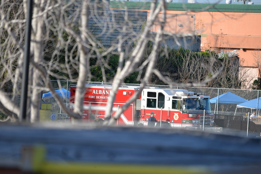 Albany FD 1 32815 Albany Fire Department Paramedic 1 (… Flickr