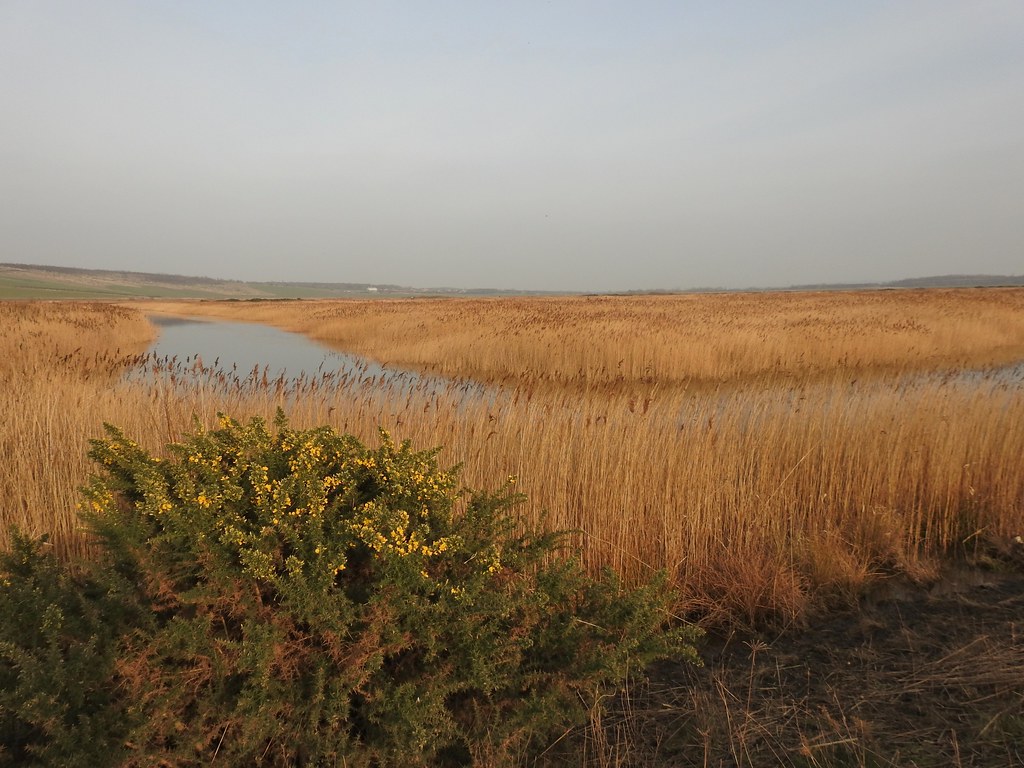 Swillington Ings near Leeds, Yorkshire, England March 20… Flickr