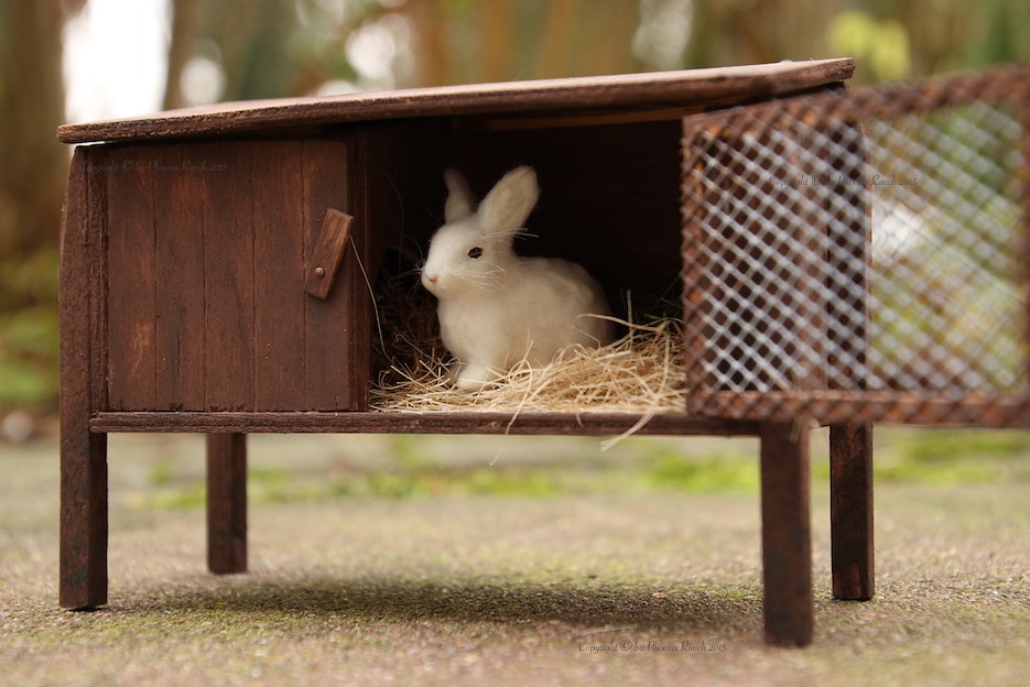 Schleich rabbit Phoenix Ranch Flickr