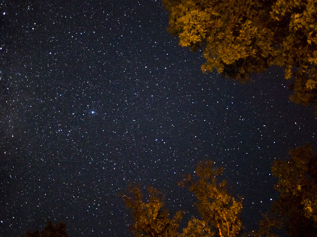 Northern Michigan Stars (2) Alex Hancook Flickr