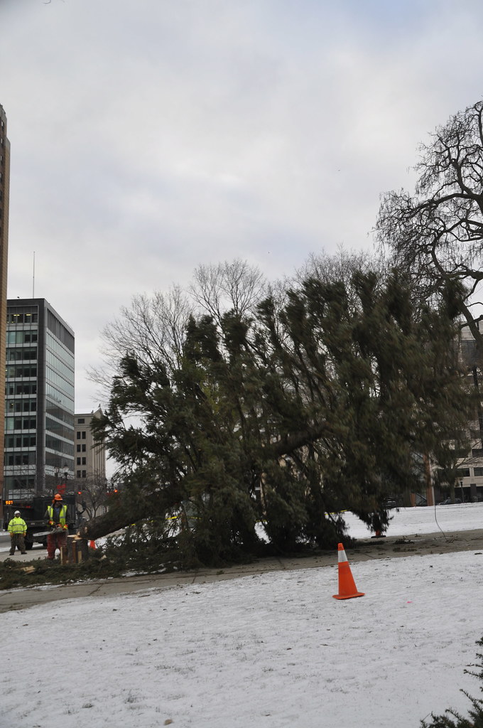 Capitol Christmas Tree Take Down January 2016 Capitol Chri… Flickr