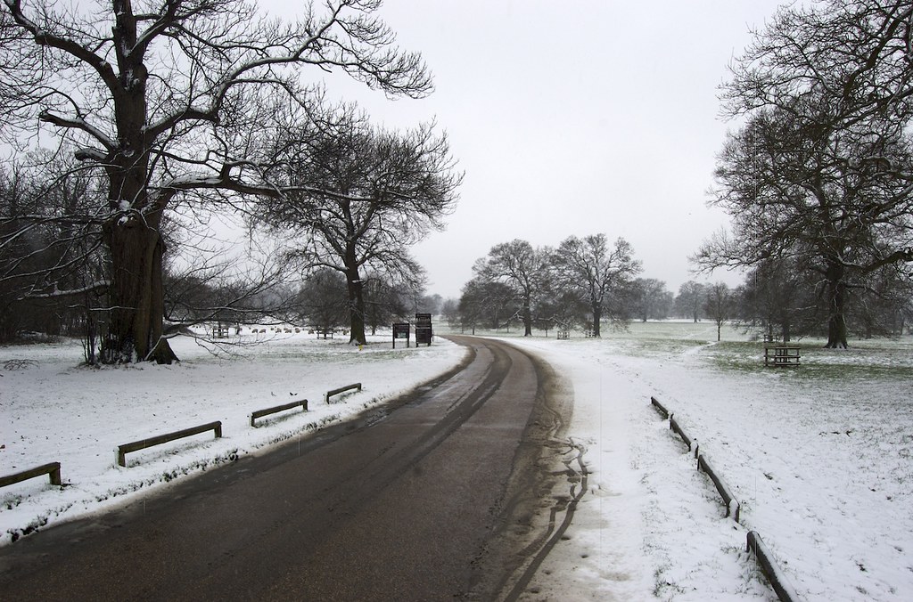Ickworth Estate Drive Sam Newman Flickr