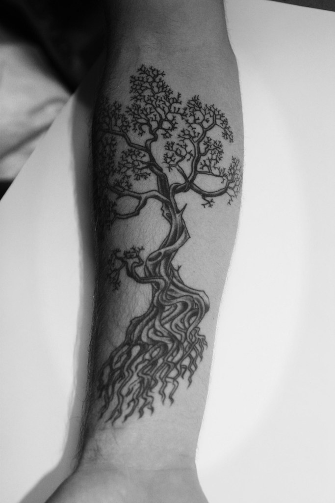 Bonsai Tattoo | Gary Compton | Flickr 1024_x_683_jpg