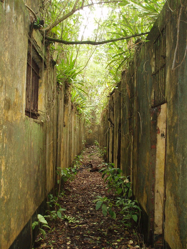 Ruins On Top of Ile St. Joseph rustinpc Flickr