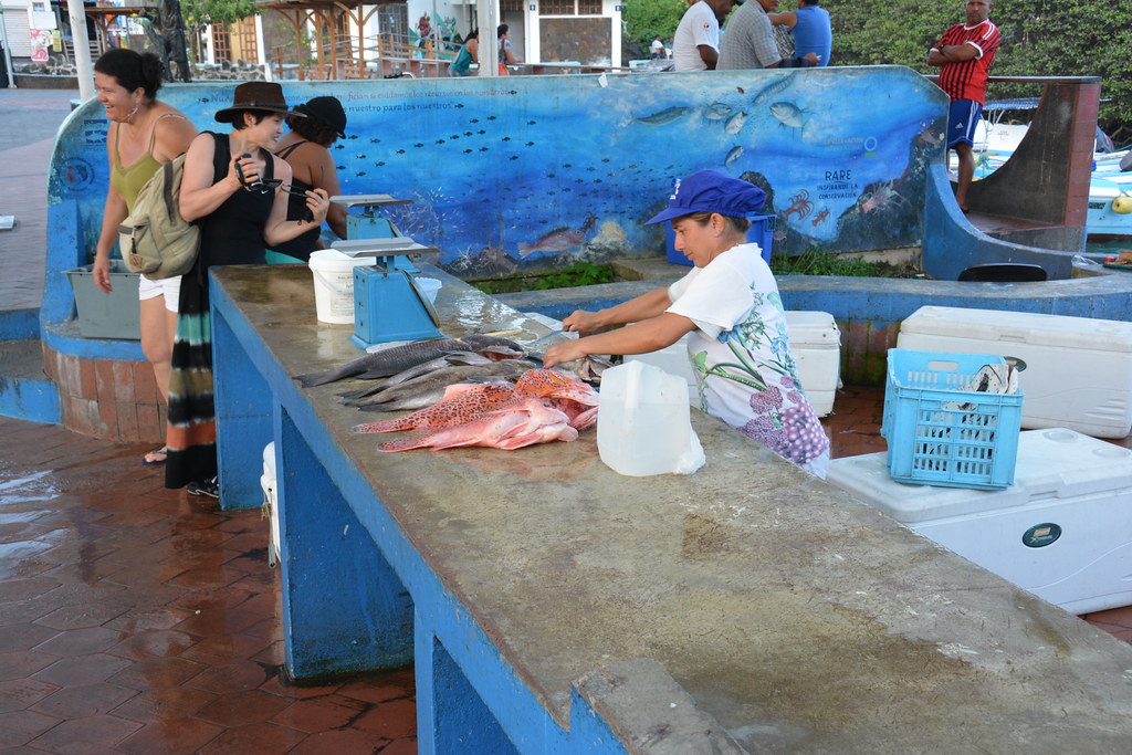 Santa Cruz Fish Market Flickr