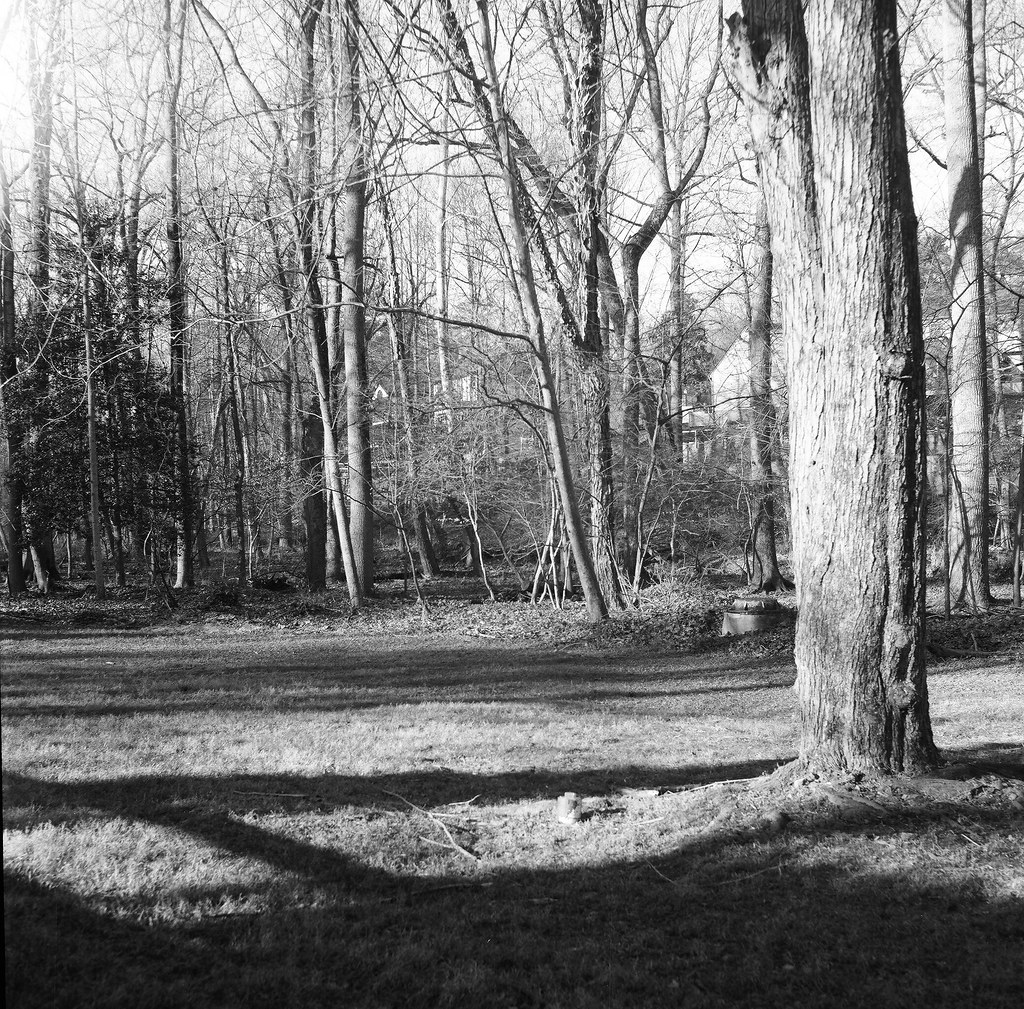 Springlake Park via Rolleiflex Original As the title impli… Flickr