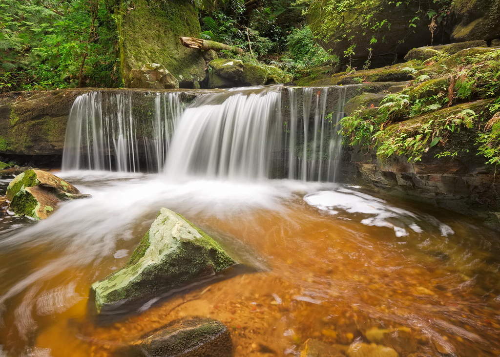 Going green Watagans National Park, NSW Sean Barlow