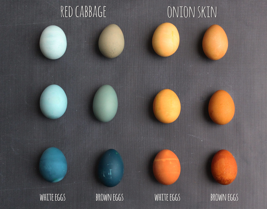 white_brown_egg_dye_chart_text Farm Fresh To You Flickr