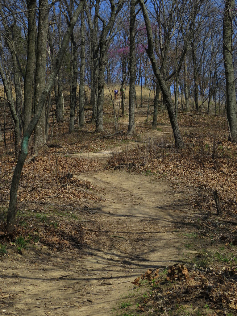 Elevation of Horine Rd, Festus, MO, USA Topographic Map Altitude Map