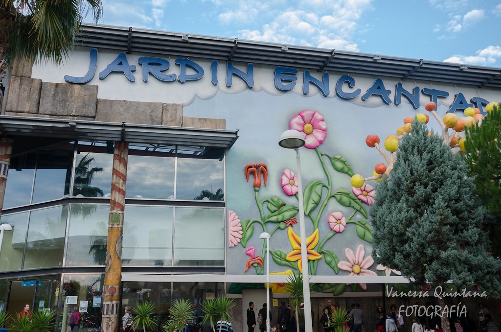 Vanessa Quintana Mortara Vanessa Quintana Mortara Flickr