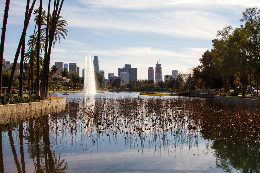 Echo Park Los Angeles, CA. December 2015. Dan Fogarty Flickr