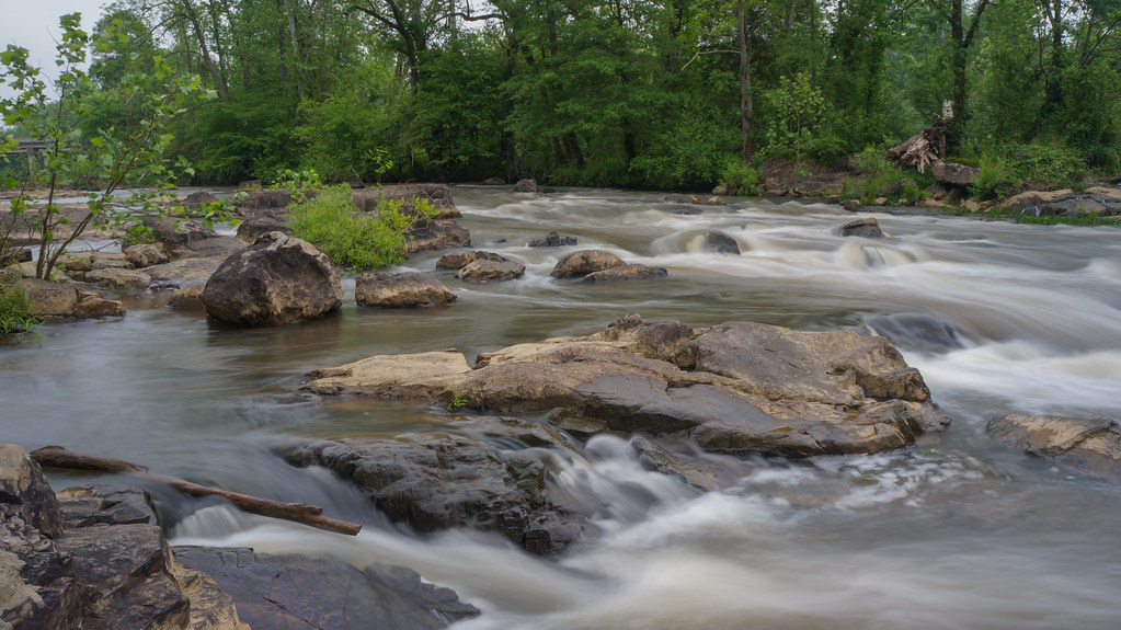 Friends Of Lower Haw River State Natural Area