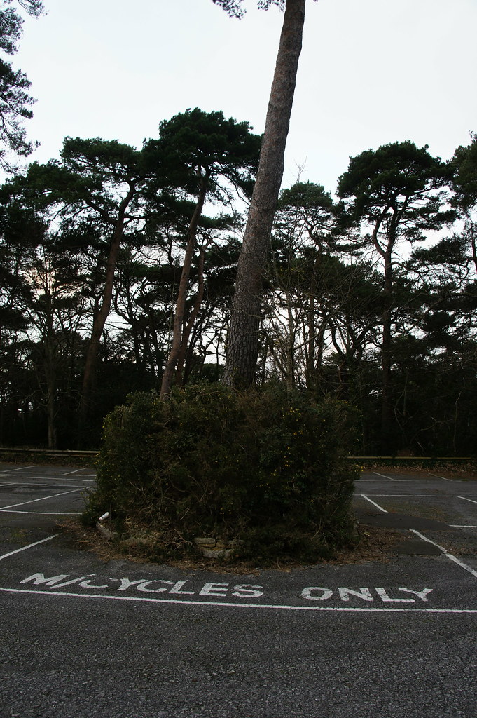 Beach Road Car Park, Beach Road, Branksome Park, Poole, Do… Flickr