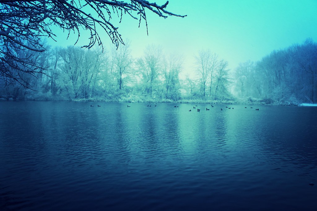 Willowbrook Park DAVE Flickr