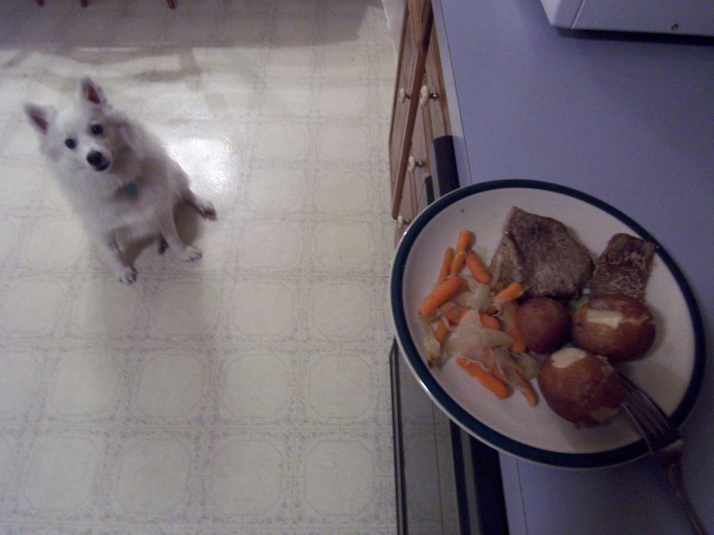 100_0651 People food is always better than dog food. LBrad245 Flickr