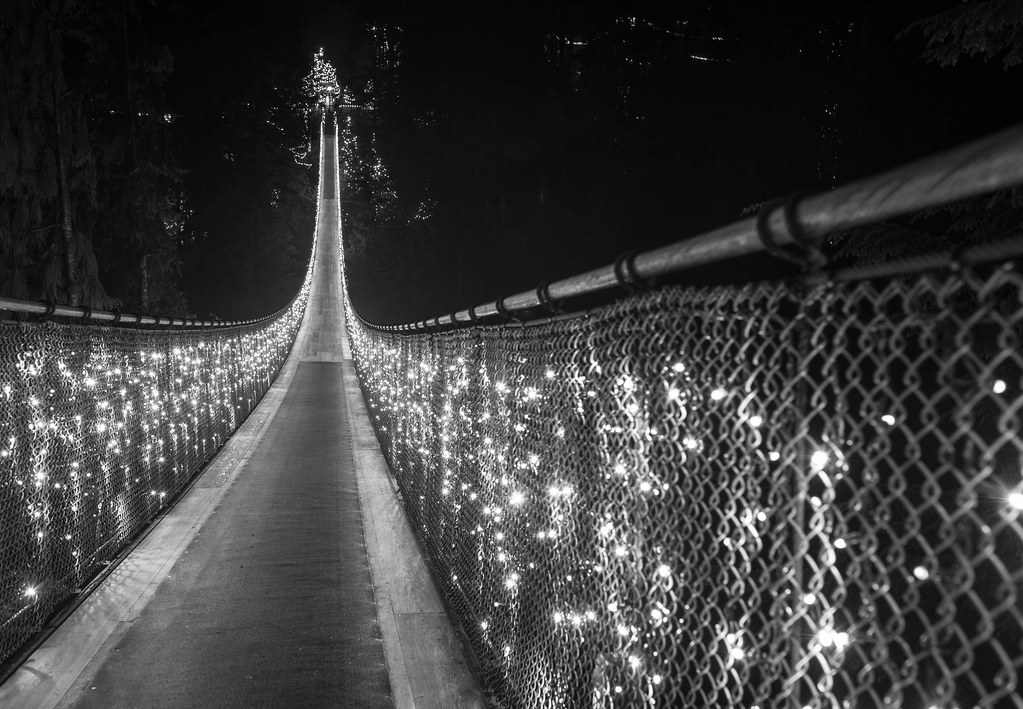 The Capilano Suspension Bridge Image taken at Capilano Sus… Flickr