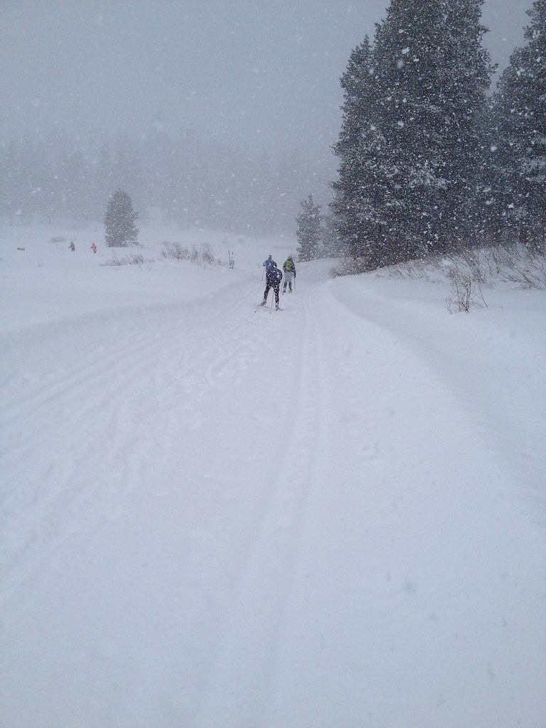 Kirkwood Dec 2015 Skiing in the meadow with a bit of snow … Steph