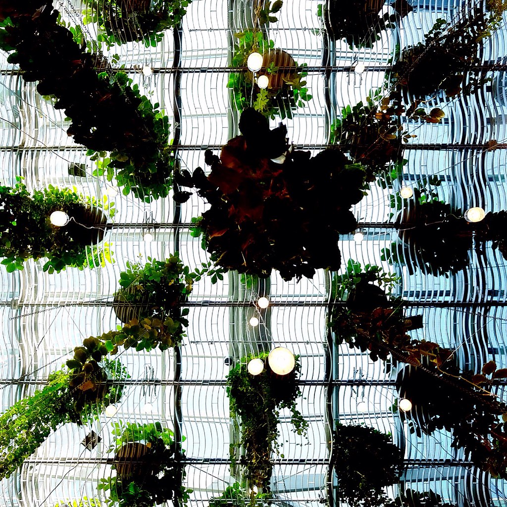 hanging garden feel free to visit my blog www.muc365.de Thomas