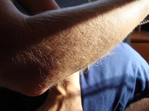 Blonde Hairy Arms | jdevious1 | Flickr