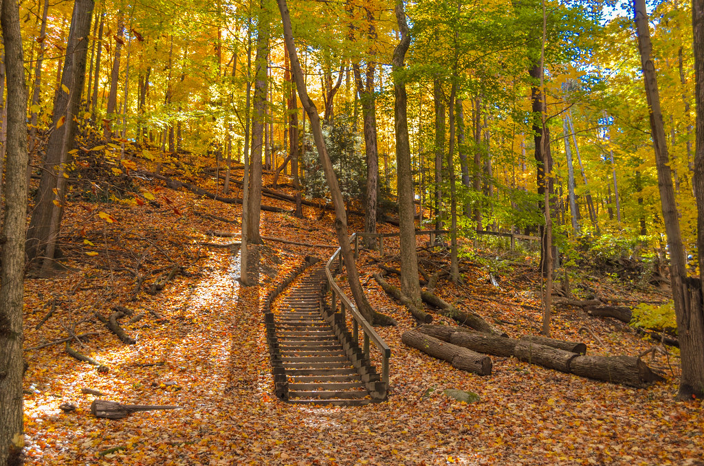 Fort Hill Trail Rocky River Nature Center, Rocky River Res… Flickr