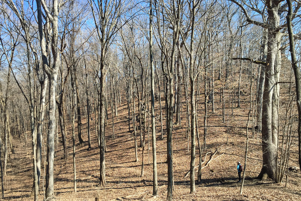 Winter in the Weldon Springs Woods Lewis & Clark Trails We… Flickr