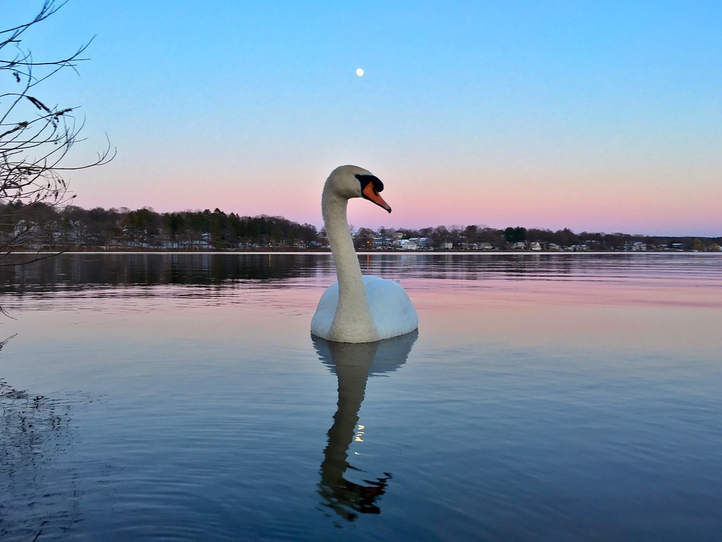 19 Washington St, Bedford, MA, USA Sunrise Sunset Times