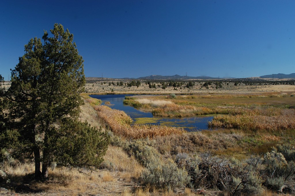 View of Rimrock SpringsOchoco View of Rimrock Springs in … Flickr