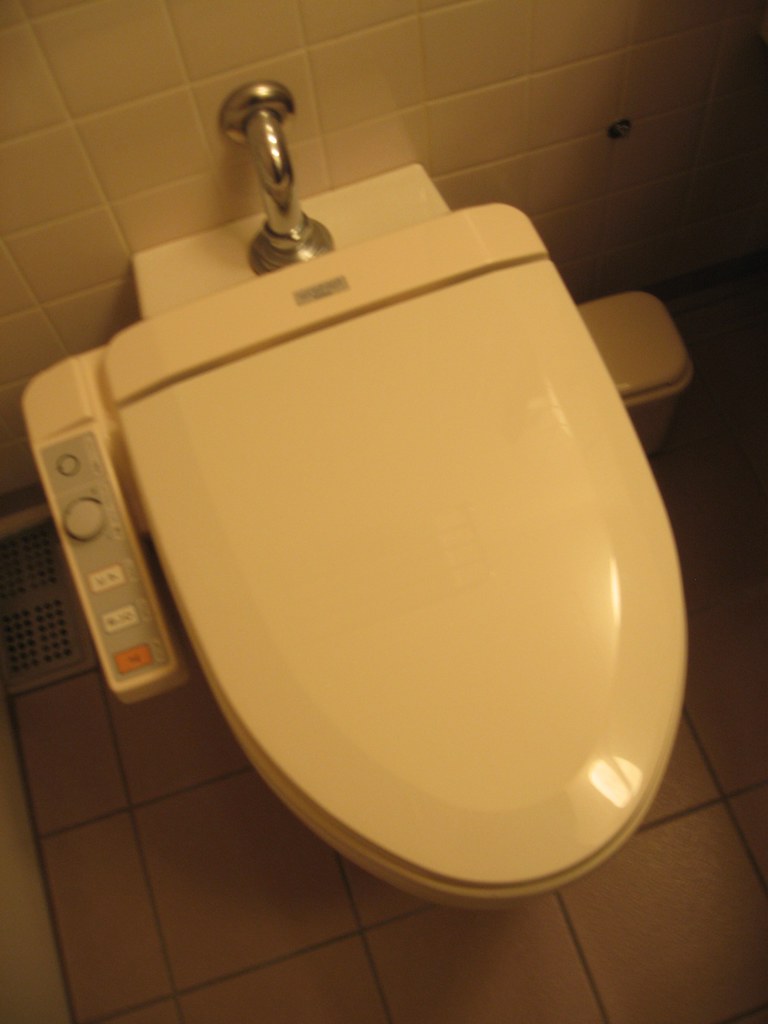 Fancy toilets The first of many. Including (but not by any… Flickr