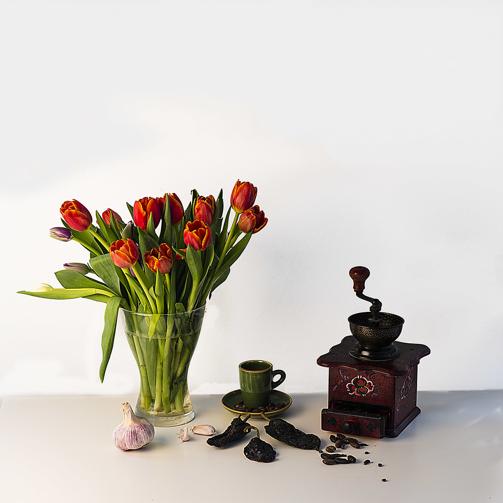 Tulips & coffee grinder Toronto Dirk Noort Flickr