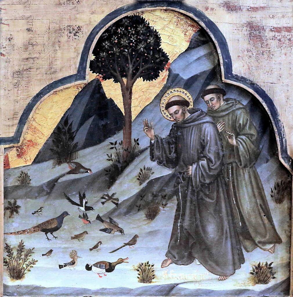 IMG_5448K Taddeo di Bartolo. 13621422. Siena. Représentations de la