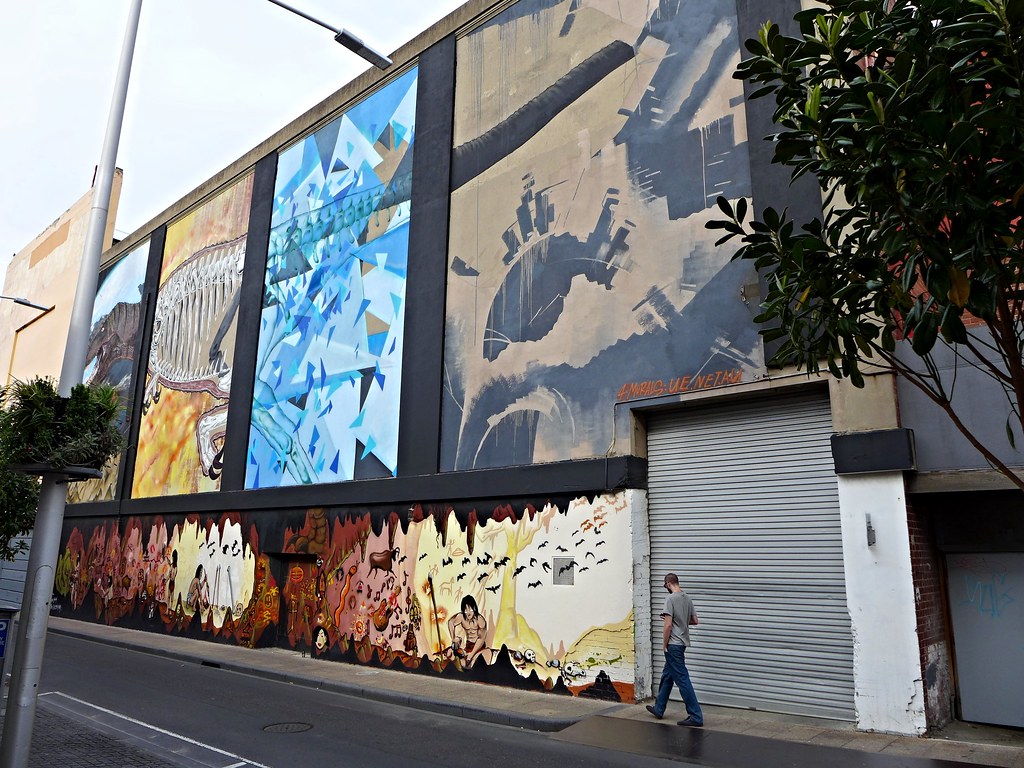 geelong street art 75kombi Flickr