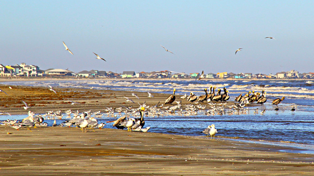 Port Bolivar Beach Galveston County Port Bolivar, Texas West Beach