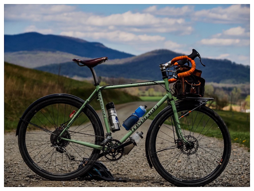 Elephant NFE CWMPFB Flickr