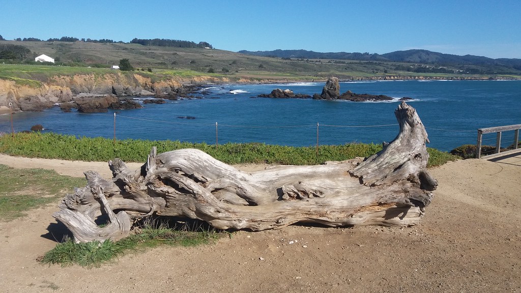 California (124) Pigeon Point Bernt Assarsson Flickr