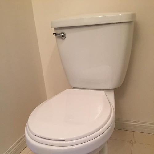 Another day and almost two toilets. Replaced one and chang… Flickr