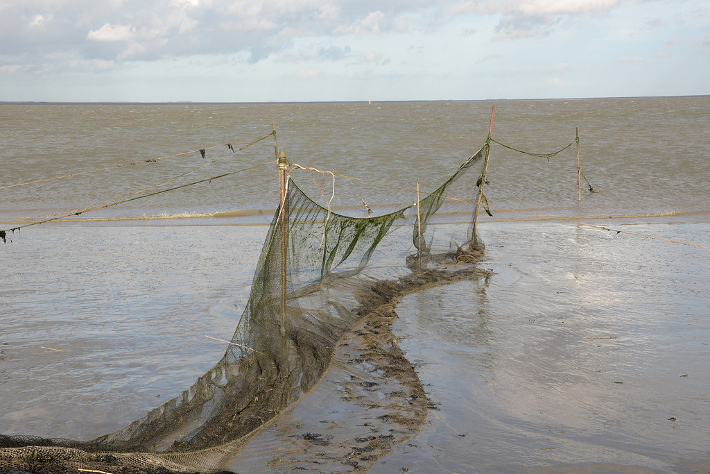 fishing? Nets at low tide. Derk /snoek2009 Flickr