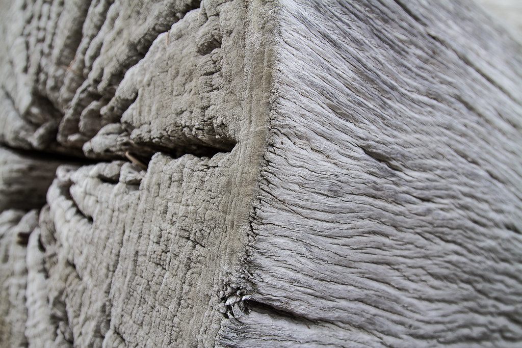Driftwood Don Edwards San Francisco Bay National Wildlife … Flickr
