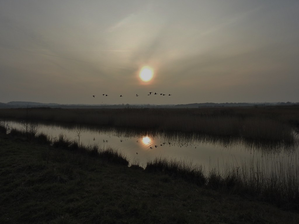 Swillington Ings near Leeds, Yorkshire, England March 20… Flickr