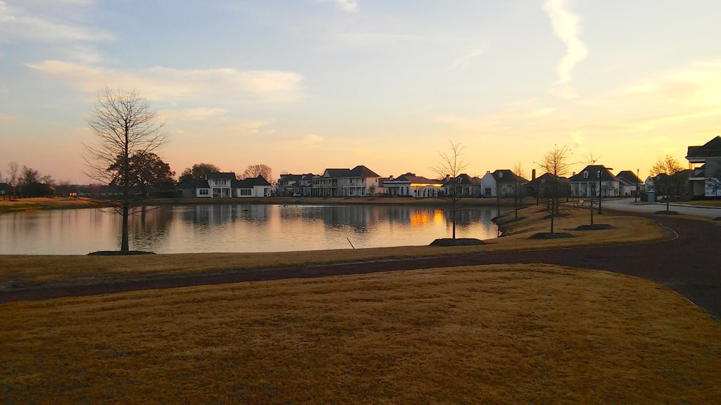 The "Preserve" at Harveston habitat shot for eBird list Flickr