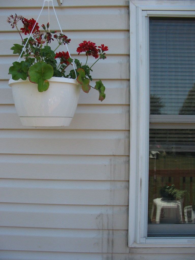 Basket A hanging basket, a window, and some intricate stai… Flickr