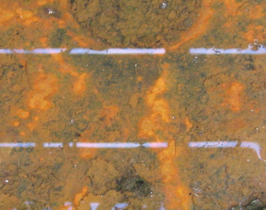 Rusty Puddle Pool of rusty water on a drain cover; reflect… Flickr