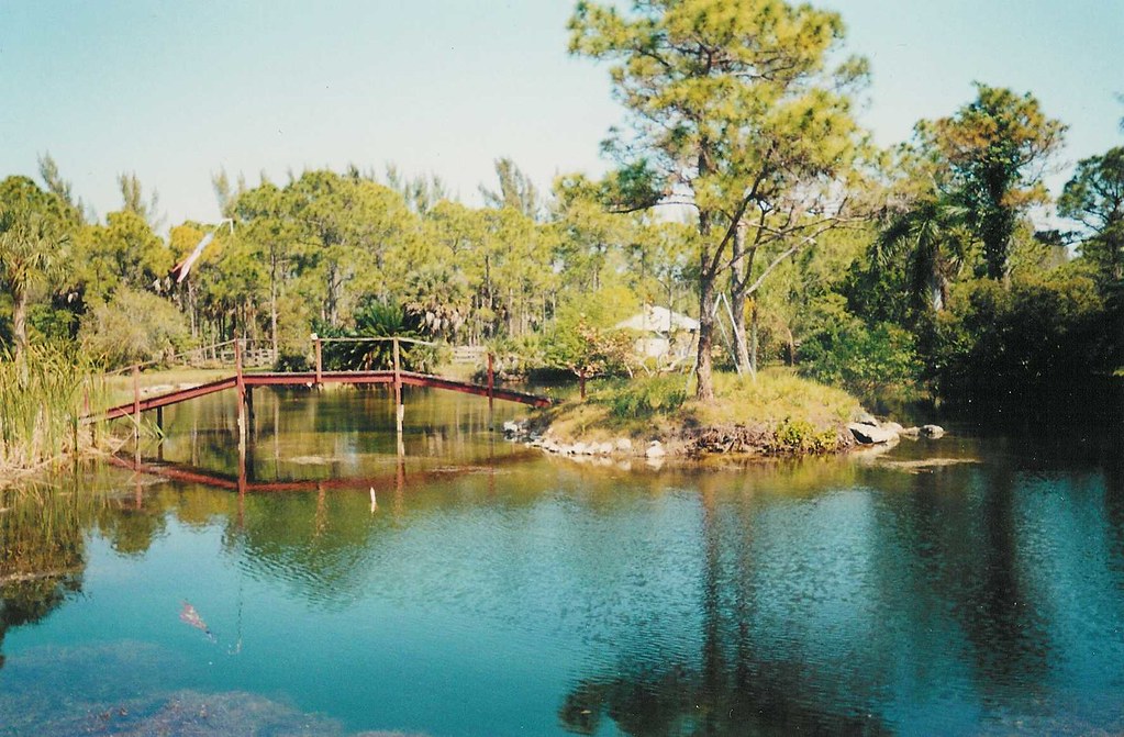 Bridge to Little Island in Pond The trees in the pond are … Flickr