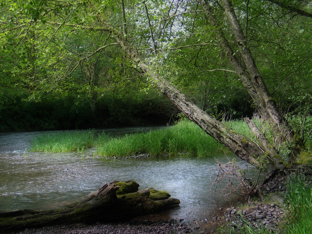 Skookumchuck River Skookumchuck Wildlife Habitat Managemen… Flickr