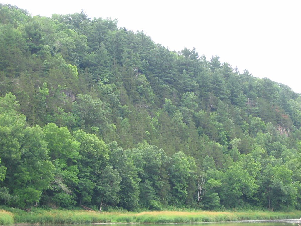 Forested slope on the Root River near Lanesboro MN Flickr