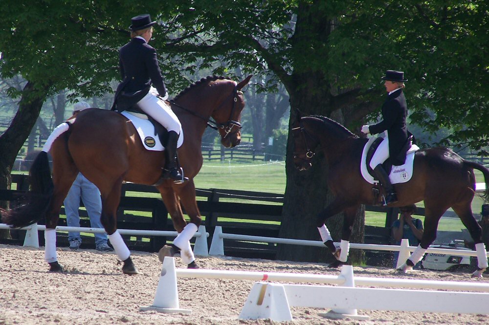 Rolex Kentucky 3 Day Event 2006 Dressage Balmoral Cavali Flickr