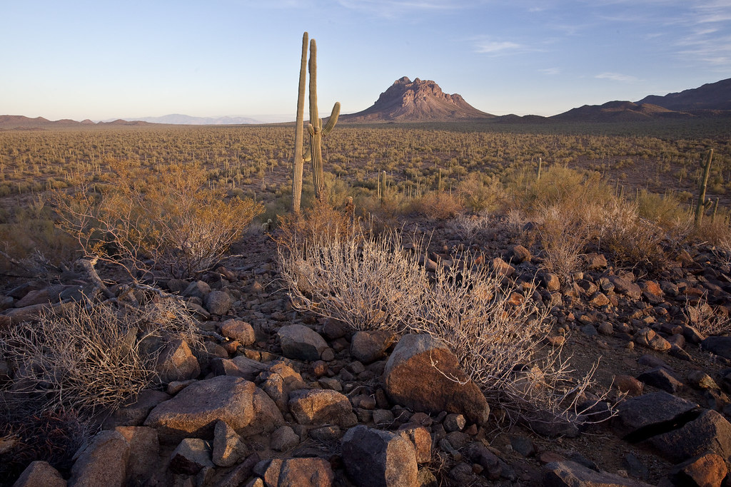 Ironwood Forest National Monument This Ironwood Forest Nat… Flickr