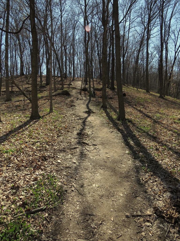 Elevation of Horine Rd, Festus, MO, USA Topographic Map Altitude Map
