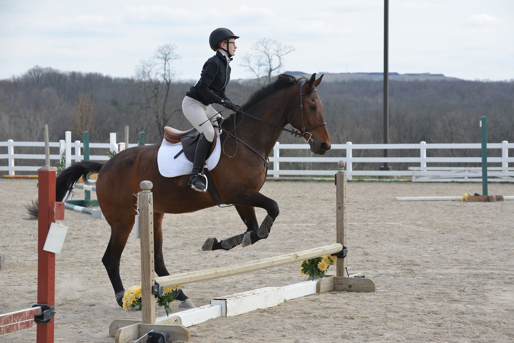 Walnut Creek Stables Combined Test and Jumper Show March 2016 Flickr