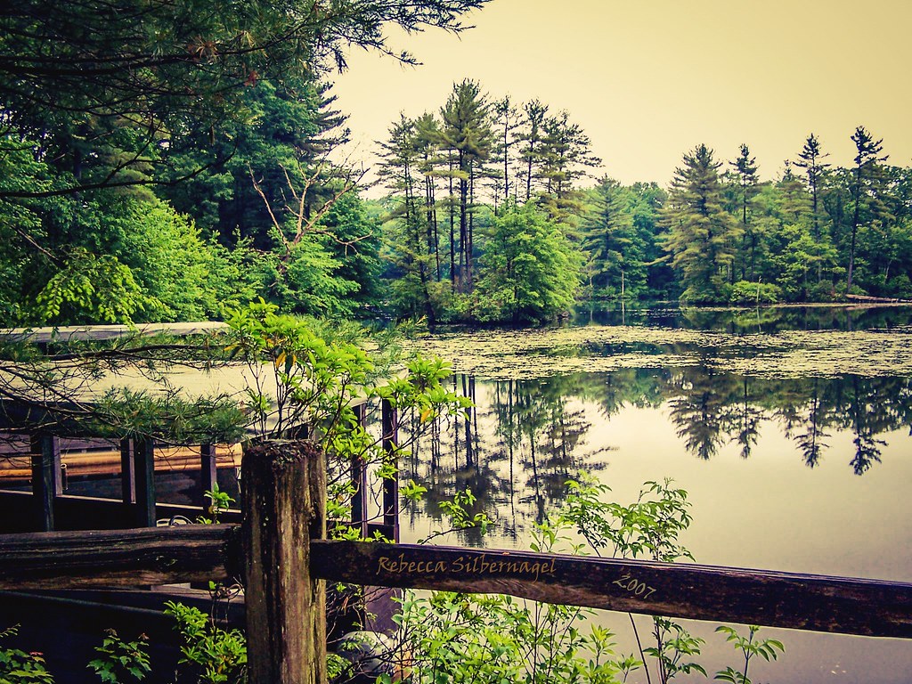Beautiful Pond in Massachusetts Pond/Small Lake in Massach… Flickr