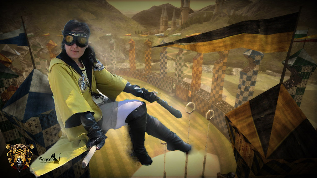 Quidditch Hufflepuff Beater from Hogwarts Witchcraft and W… Flickr